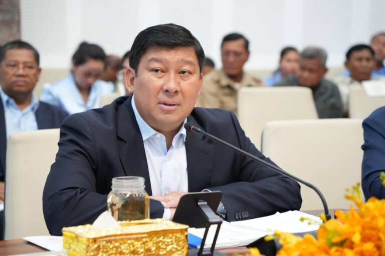 Register as state land without allowing further land clearing requests to avoid impacting biodiversity loss in Tonle Sap Lake.