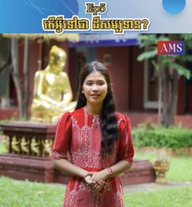 What is a land concession?