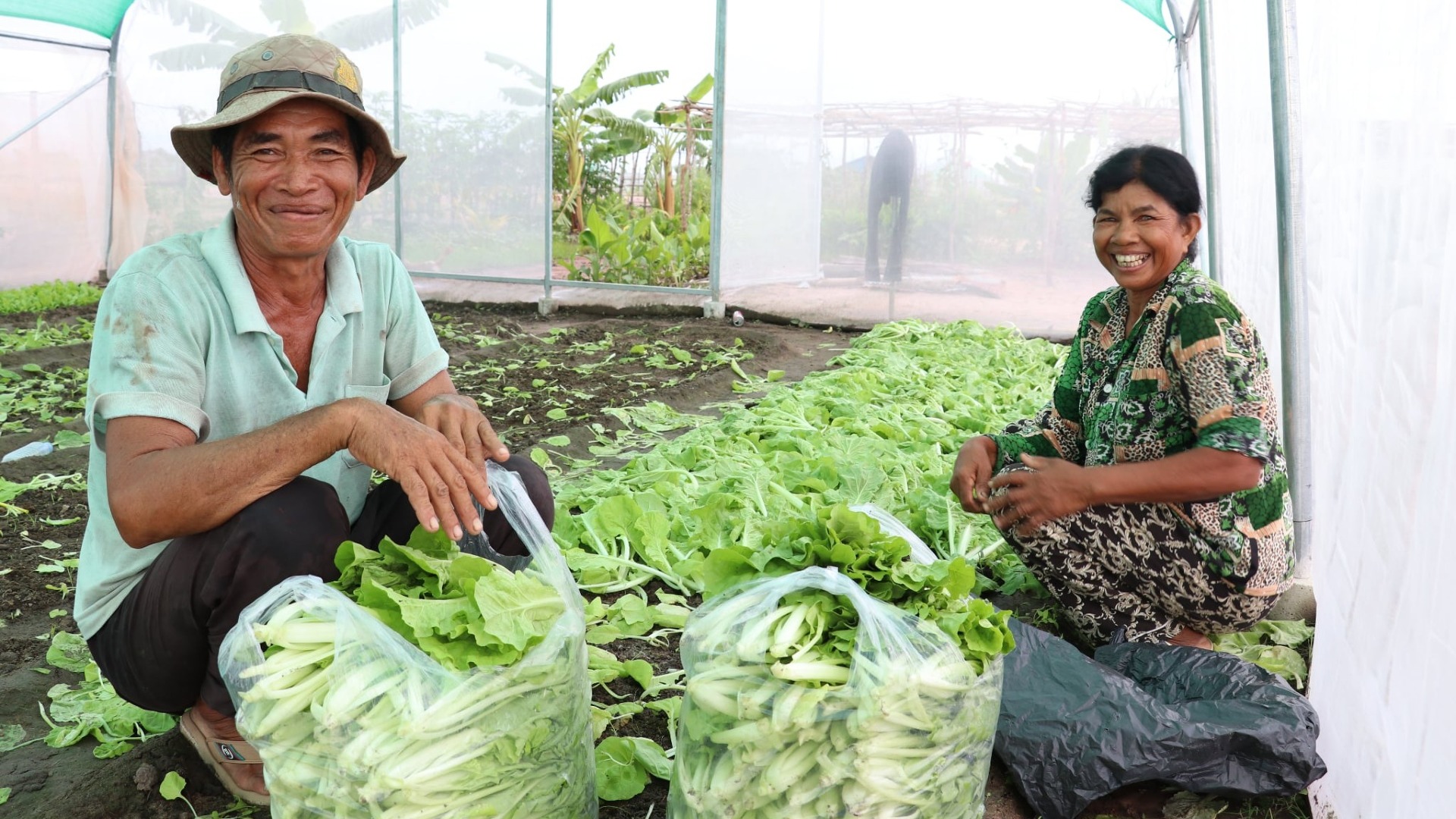 A New Life Grows on New Land